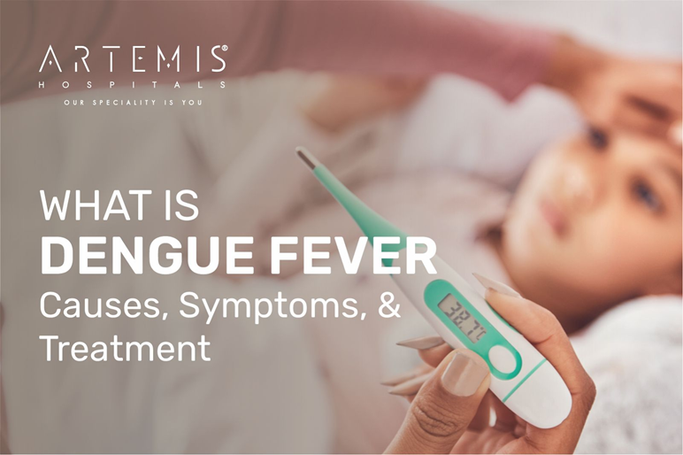 Dengue Fever Causes