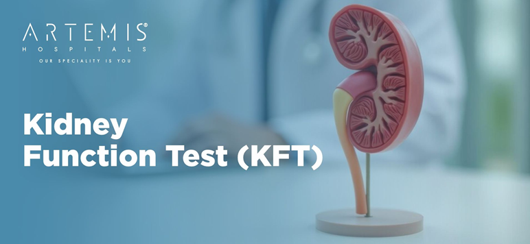 What is Kidney Function Test (KFT)