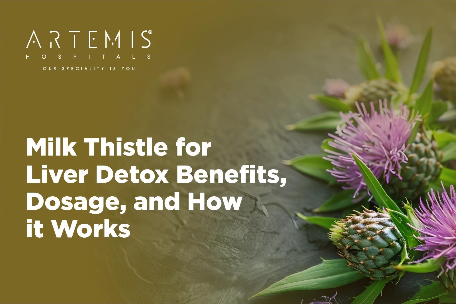 Milk Thistle Benefits