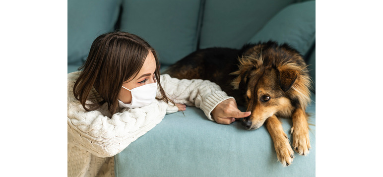 pet-allergy-symptoms-management-and-treatment-options