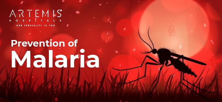 Malaria Symptoms