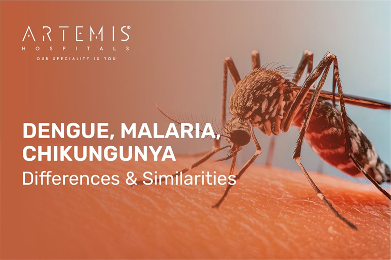 Comparison of Dengue, Malaria, and Chikungunya symptoms and transmission